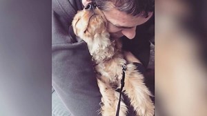 This hugging dog is spreading some major love and it’s so sweet. | Today Show