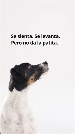 GLADHÖJDEN, un escritorio que está “a tu altura” 😉 | IKEA