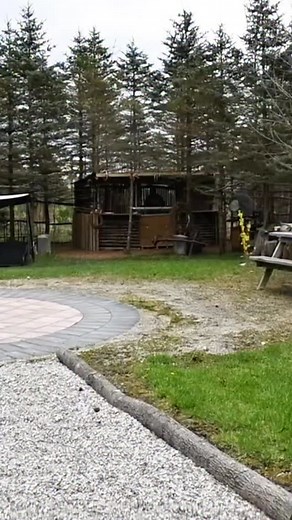 2.2K views · 32K reactions | Living in the new world #insta #instalike #poverty #poor #bluecollar #inflation #oliveranthony #richmennorthofrichmond #trailerparkboys | Buzzed & Blazed | Facebook