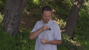 Scosche BTR3-SP BTFREQ Universal Bluetooth Wireless Audio Streaming and Handsfree Calling Receiver, Connect to Earbuds, Headphones, Car Stereo, Black