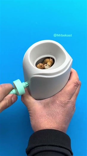 Smash any nut in seconds with kitchen hack #shorts #kitchen #tool