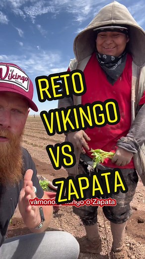 Reto de plantación: Vikingo vs. Zapata
