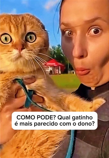 A da pinta encontrou a alma gêmea. Que cenas mais fofas #gatos #gato #felinos #pets #trend
