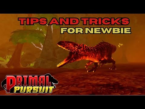 Tips and Tricks for Newbie | Primal Pursuit Roblox