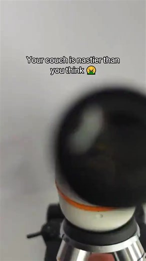 Your bed looks clean… but it’s not. 🛏️ Dust mites, bacteria & allergens hide deep inside. This UV-C Mattress Cleaner makes sure you actually sleep clean. Grab yours now ⬇️ https://airloom.shop/products/vacuum-cleaner | AirLoom