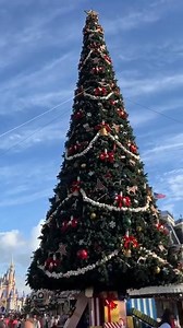 1.2K views · 54 reactions | The TREE IS UP!!!  Magic Kingdom | Disney World Packages -Orlando Florida | Facebook