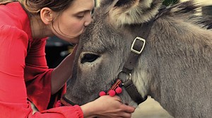 Watch EO - BFI Player