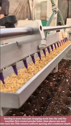 Incredible Tray Seeding Technology That Replaces Manual Labor With Perfect Accuracy