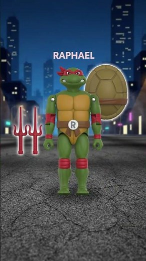 Teenage Mutant Ninja Turtles: Donatello, Raphael, Foot Ninja and Shredder