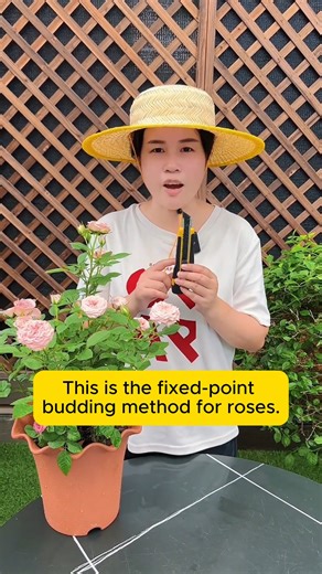 Help flower branches bud #gardeninggoals #gardeningistherapy #gardeningtips #gardeninglife | Daily Garden Life