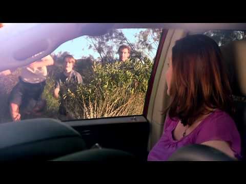 Dodge Caravan Commercial