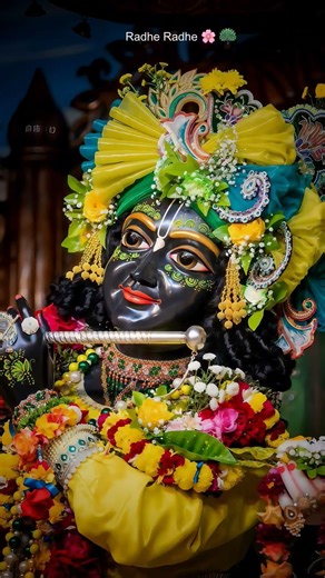 दिन की सुरुआत गुरुदेव के साथ ❤️Radhey Radhey #premanandjipravachan #explorepage #viral #bhajanmarg