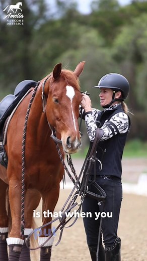 How to Bridle a Horse: Step-by-Step Guide