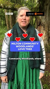 5.9K views · 37 reactions | We love The Love Tree 凉❤️ | BBC Radio Scotland | Facebook