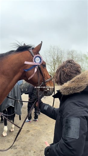 Vlog de l’épreuve du jour !!!!! Résultat à la fin 🫣 #cheval #concours #cso #vlog #cavaliere