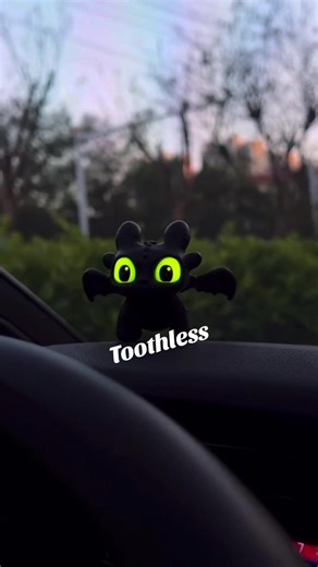 Are You a True Toothless Fan?