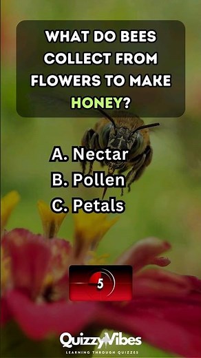 🚀 Conquer the Science Quiz Challenge #quiz #science #facts