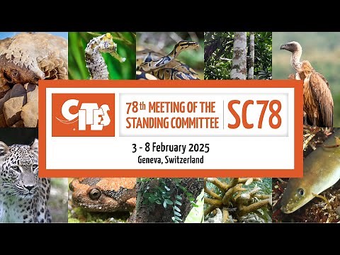 78th Meeting of the CITES Standing Committee - Morning (February 03)