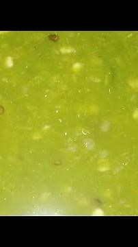 how safe chili 🌶️ without any powder || safe your all green chilis