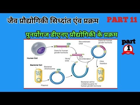 पुनर्योगज डीएनए प्रौद्यौगिकी के प्रक्रम। Processes of Recombinant DNA technolog। Part 1
