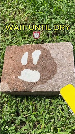 Finally Found a Paver Cleaning That Works #shorts #hack #diy