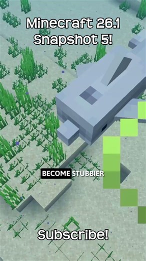 The New Baby Dolphin Skin In Minecraft!