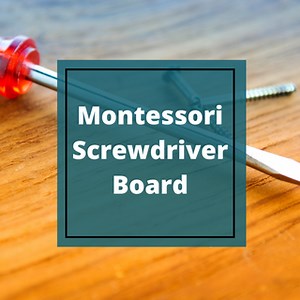 Montessori Screwdriver Board Activity | Practical Life Lesson | GMN