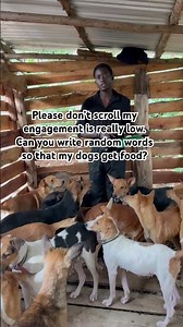 Stay and help link in bio for help