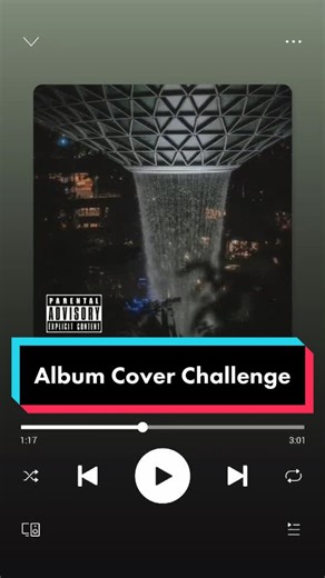 That parental advisory sticker be doing magic #albumcover #albumcoverchallenge #fyp #tiktoksg #photography