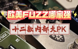 内卷-十二种风格Fuzz