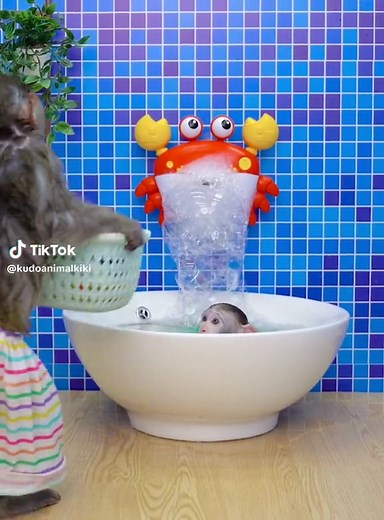 Funny Monkey Bathing with Baby Monkey