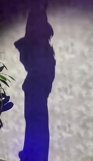 Exploring the Unique Talent of Eve in Music