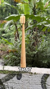 Every time you brush your teeth with a plastic toothbrush, you’re...