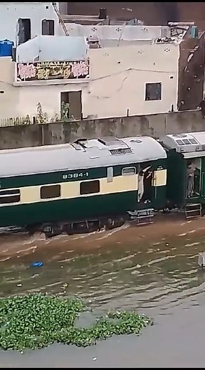 500K views · 8.1K reactions | Invisible Track | UF Railography | Facebook