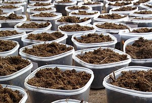 6 Weird and Wonderful Bitcoin Events of 2014