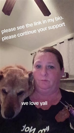 Understanding Dog Attacks and Responsible Pet Ownership