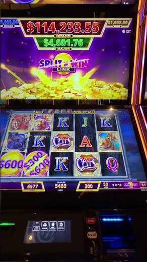 10 Free Games on a $300 Bet! #slots #casino #jackpot