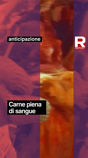 RT @reportrai3: Gli operai quando lavorano la carne devono togliere le parti con il sangue, non commestibile per la carica batterica elevat…