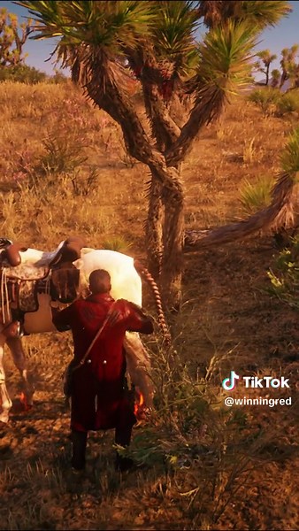 How to Hunt the Legendary Cougar in Red dead Redemption 2 🤠🔥 #rdr2 #reddeadredemption2 #arthurmorgan #4k #gaming #games #fyp #ps5 #viral #gta