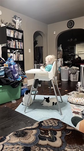 Riven (@squirrel_and_wolf)’s videos with original sound - Riven