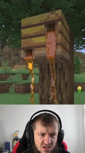 The Bees in Realistic Minecraft Look A Bit Strange