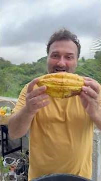 Harvesting and fermenting cocoa beans.