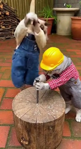 #capybara #funytiktok #Ai | Capybara Funny Videos