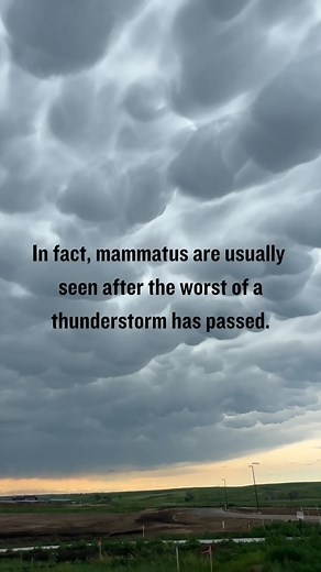 Check out this sky filled with mammatus clouds—a rare sight and a sure sign that intense weather is brewing! 🌩️ These clouds form when turbulence pushes cold air downward, creating those surreal, pouch-like formations. Have you ever seen the sky look this wild? Drop a 🌪️ if you’d love to witness this up close! #MammatusClouds #StormChasing #WeatherFacts #NatureUnleashed #SkyPhenomena | Ricky Forbes