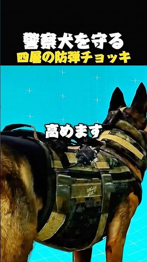 警察犬ベストの秘密