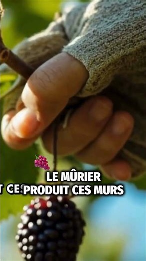 Ce fruit explose de bienfaits ! #jardinage#potager#jardindurable#astucesjardin#permaculture#jardin
