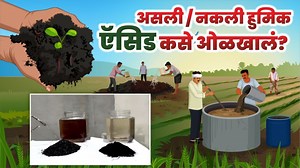ओरीजिणल '' Humic Acid '' ची टेस्ट कशी कराल ?? श्री सचिन ना. इंगोले#agripower | Agri Power