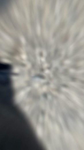 The security almost got me 😅 #prank #flipperzero #foryou