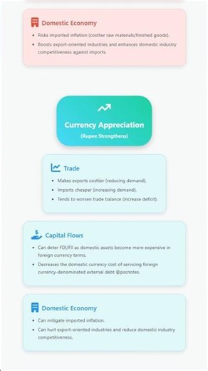 Impact of Exchange Rate Fluctuations on Trade, Capital Flows, and Domestic Economy
