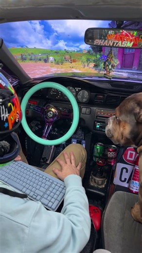 Live highlight Brutus forces his way in again!!!